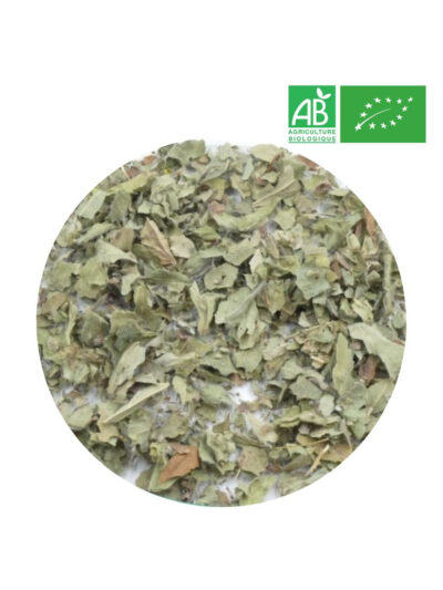 Alchémille Bio En Vrac