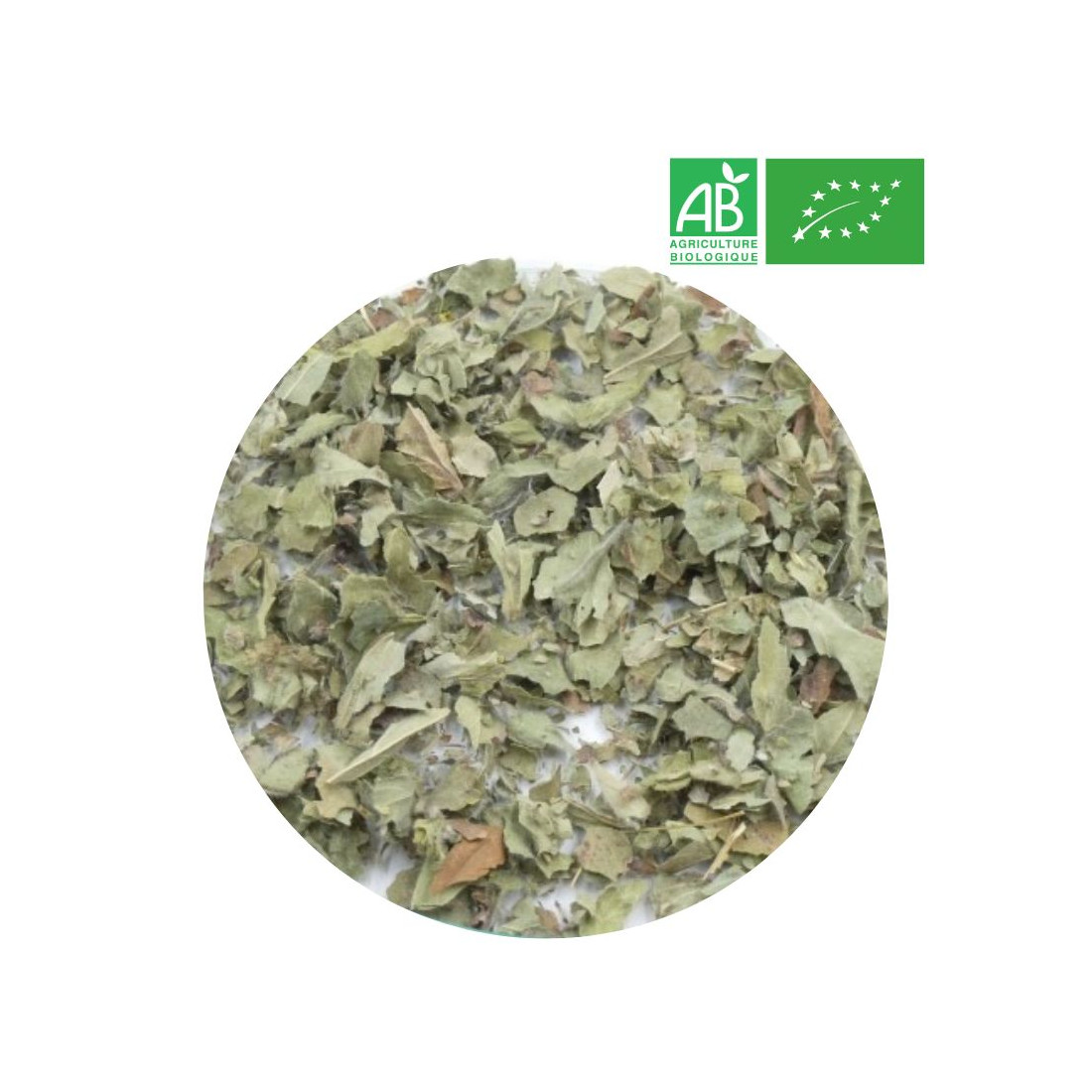 achillee-milleufeuille-bio-en-vrac-1.jpg