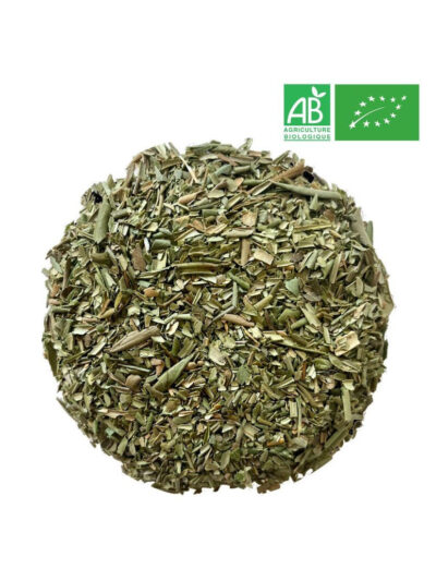 Feuilles d'Olivier Bio En Vrac