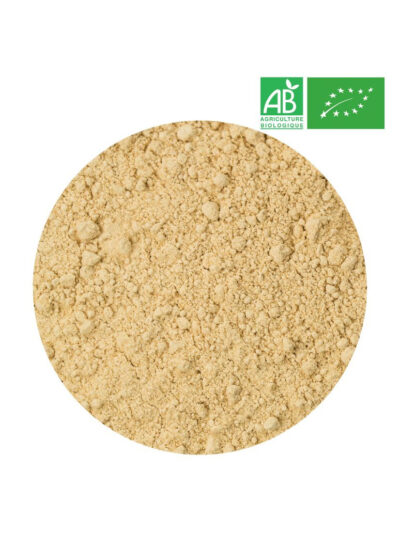 Gingembre en Poudre Bio En Vrac